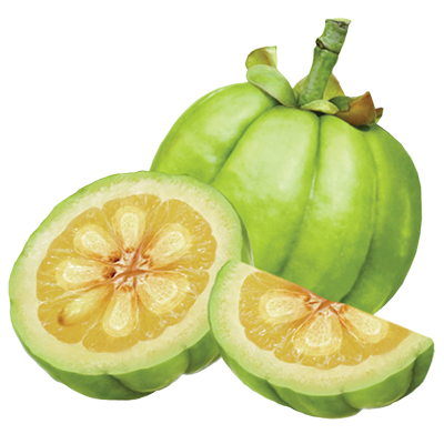 garcinia cambogia Easy Slim Tea - Garcinia-cambogia