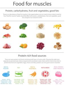 Food for Muscle